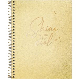 Caderno Executivo Colegial Cambridge Shine - Tilibra